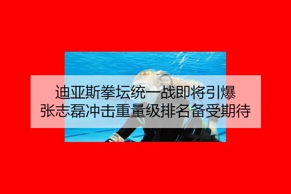 di-ya-si-quan-tan-tong-yi-zhan-ji-jiang-yin-bao-zhang-zhi-lei-chong-ji-zhong-liang-ji-pai-ming-bei-shou-qi-dai-3-548.jpg