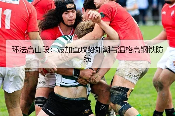 环法高山段：波加查攻势如潮与温格高钢铁防线